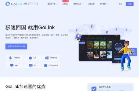 Golink加速器的网站截图