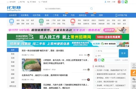 化龙巷的网站截图