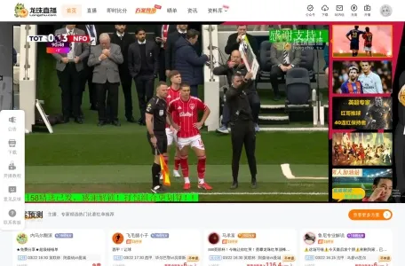 龙珠直播的网站截图