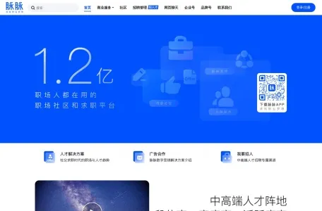 脉脉的网站截图