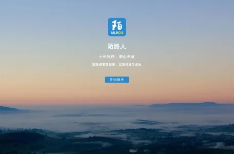 陌路人的网站截图