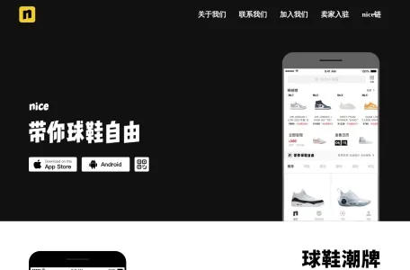 nice的网站截图