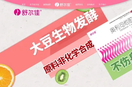 鲁南制药集团的网站截图