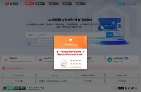 OE源码网的网站截图