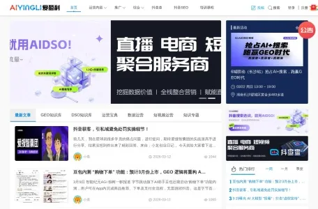 北京爱普优邦科技的网站截图