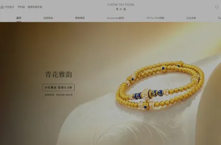 深圳市绍福电子商务的网站截图