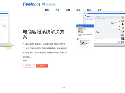 成都菲莱克斯科技的网站截图