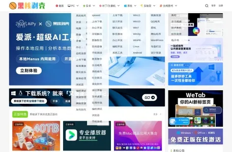 果核剥壳的网站截图