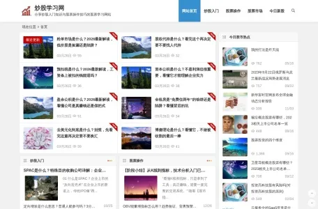 炒股学习网的网站截图