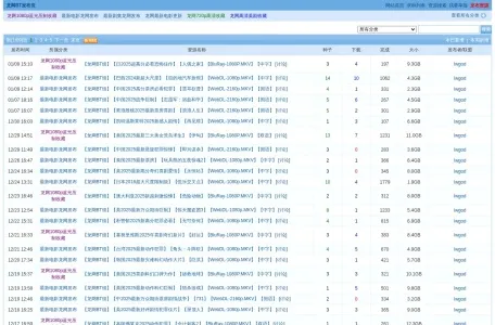 龙网BT的网站截图