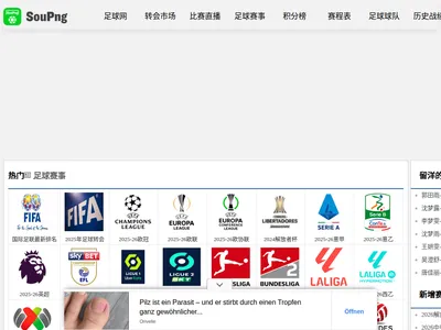 搜坪足球网的网站截图