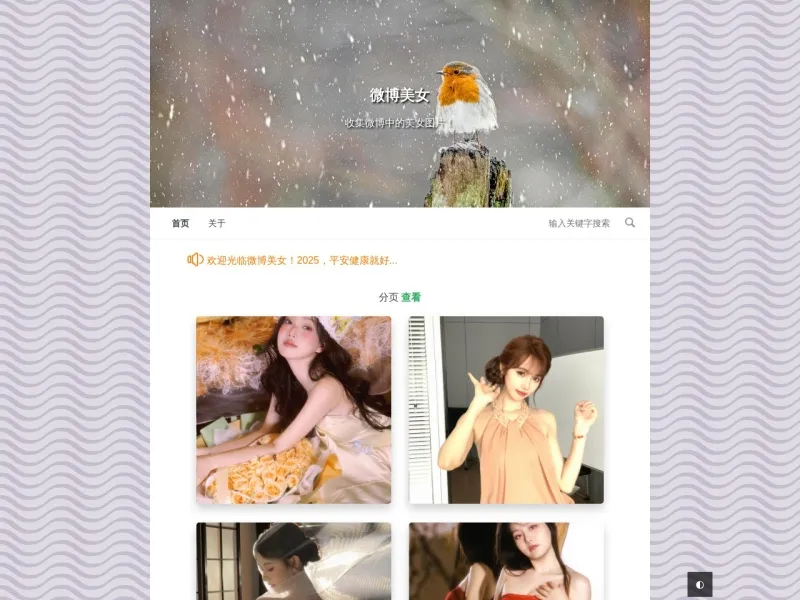 微博美女的网站截图