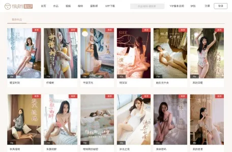 雅拉伊的网站截图