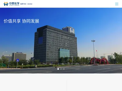 中泰化学的网站截图