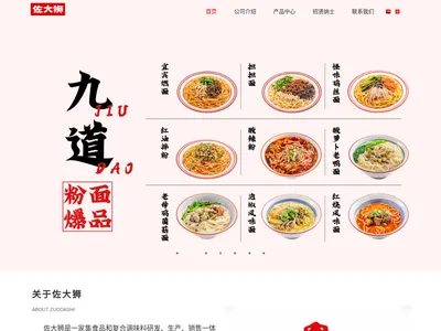佐大狮科技的网站截图