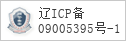 域名 sj-hospital.org 的备案信息查询